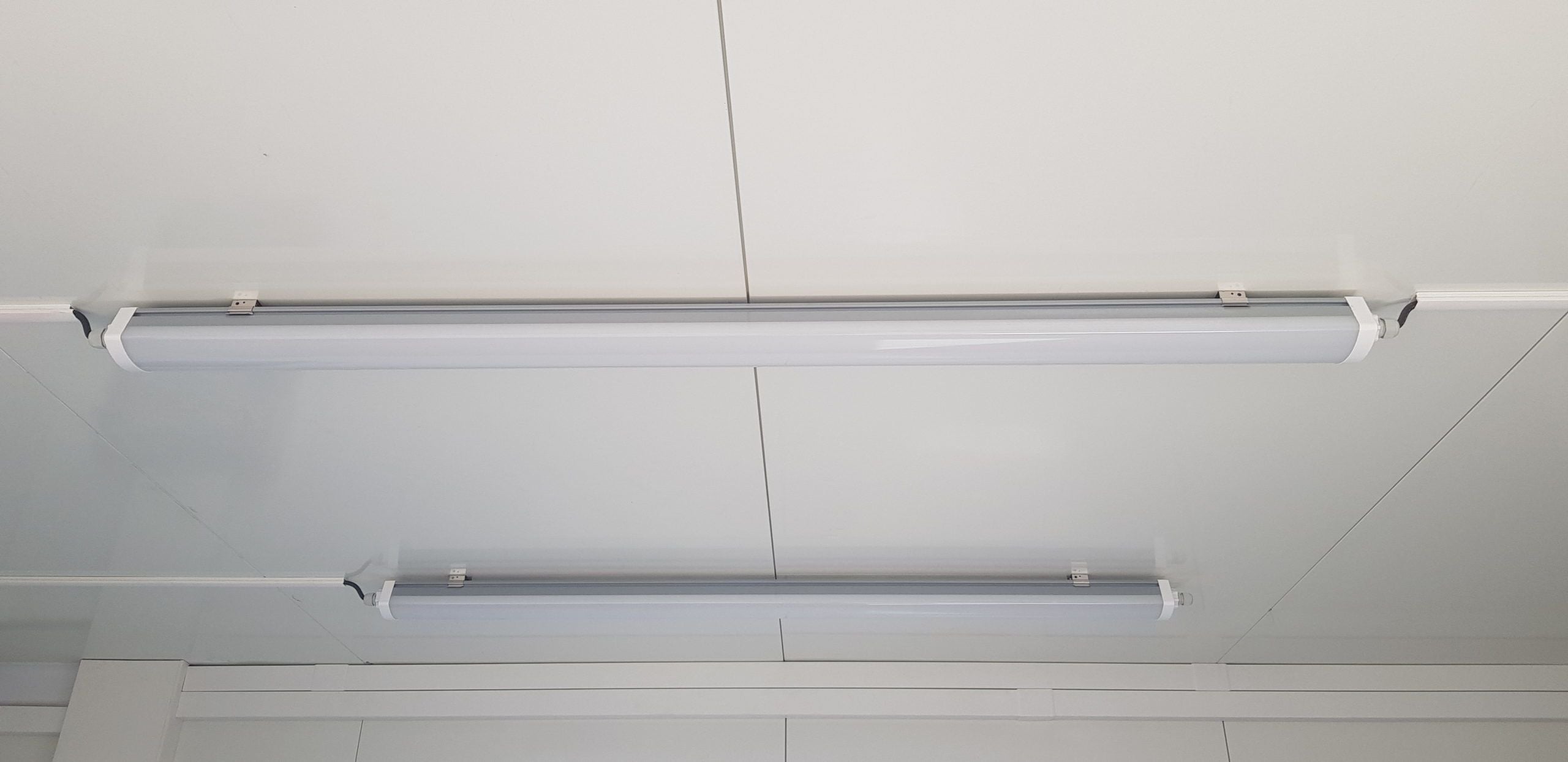 CONTENTORES DE BAR DE MADEIRA DE 40 PÉS