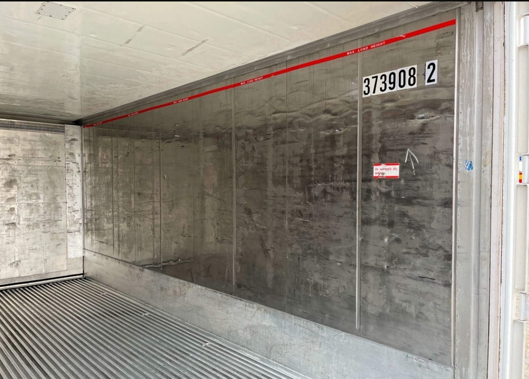 Contentor refrigerado congelado de 20 pés (7,6 m)