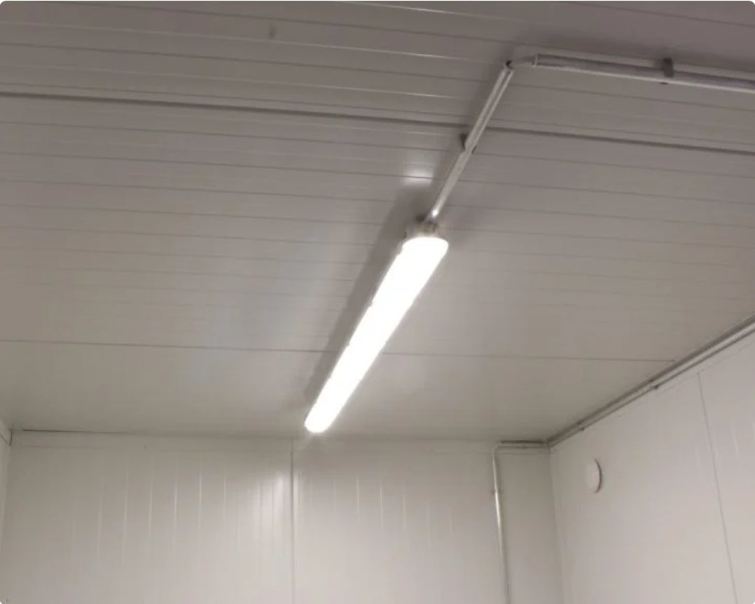 contentor isolado de 10 pés